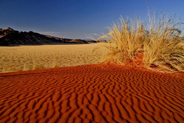 063 Namib Desert, namibrand nature reserve, sossusvlei desert lodge.JPG